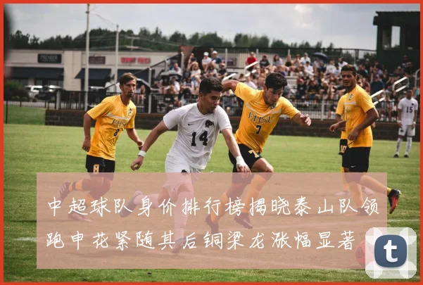 中超球队身价排行榜揭晓泰山队领跑申花紧随其后铜梁龙涨幅显著