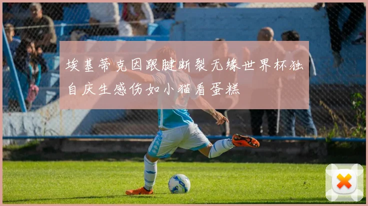 埃基蒂克因跟腱断裂无缘世界杯独自庆生感伤如小猫看蛋糕