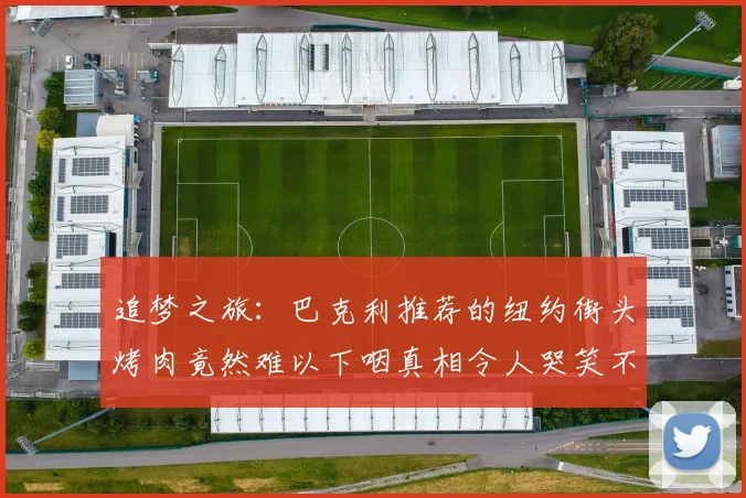 追梦之旅：巴克利推荐的纽约街头烤肉竟然难以下咽真相令人哭笑不得